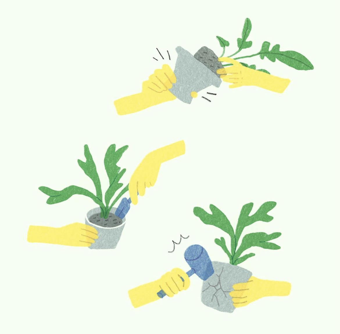 식물 상담